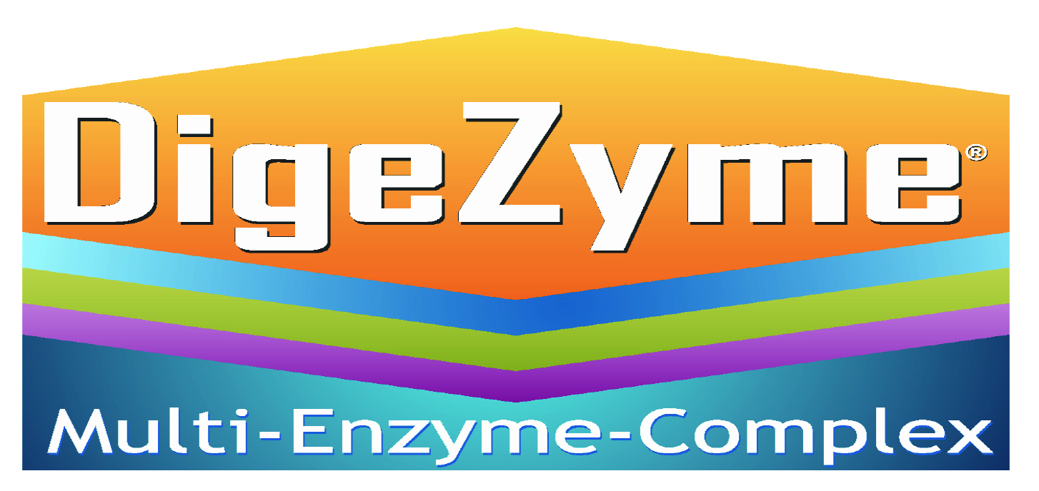 DigeZyme